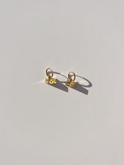 Cheese Hoops Gold All New
