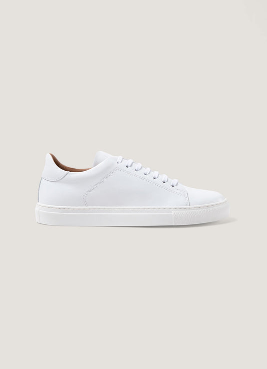 White,7