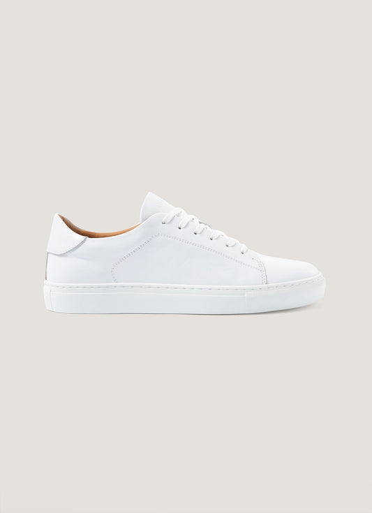 White,7