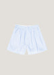 Light Blue Micro Gingham
