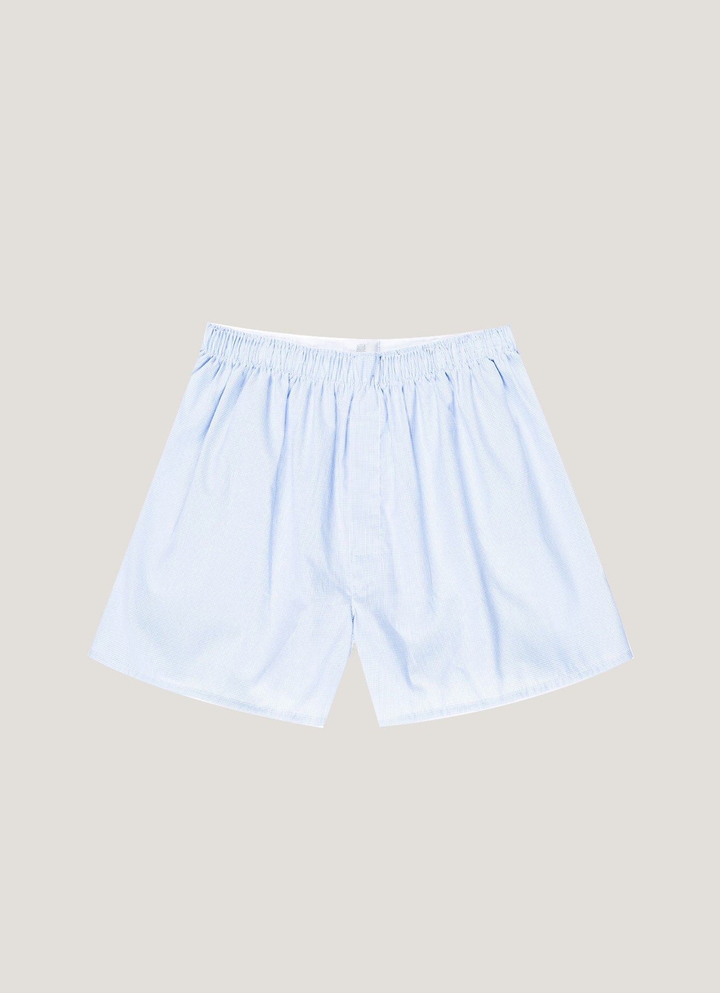 Light Blue Micro Gingham,XS