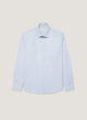 Light Blue/White